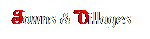 Text Box: Towns & Villages